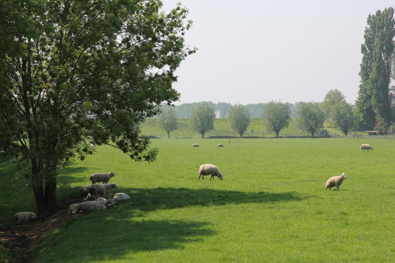 B&B Buitenwaard Oosterhout  Esterno foto