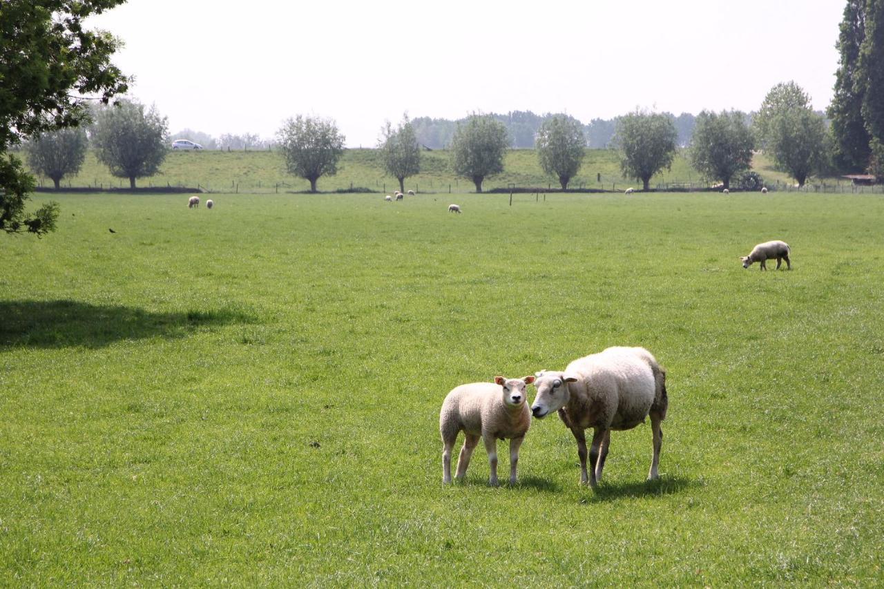 B&B Buitenwaard Oosterhout  Esterno foto